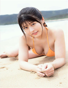 间谍2013