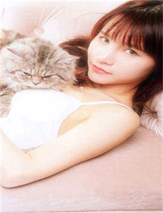 案中案2003