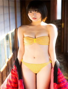 木嶋のりこ-奋斗 电视剧下载