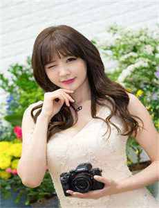 花芯